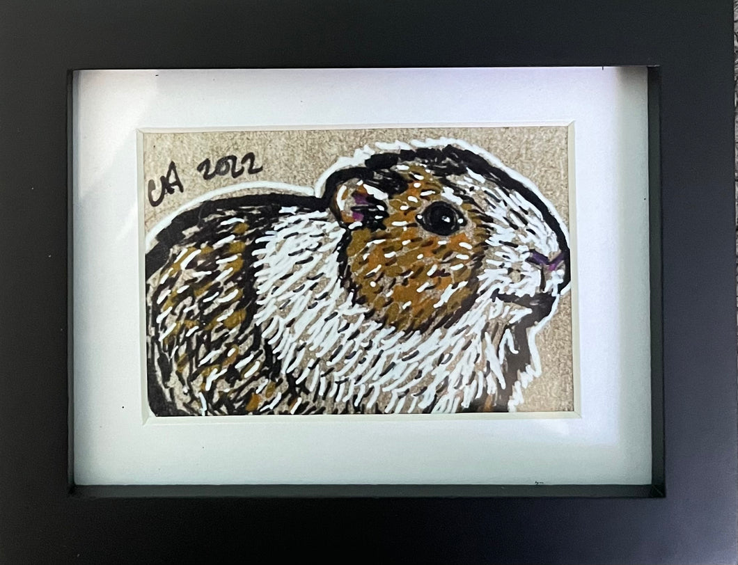Guinea pig mini framed print