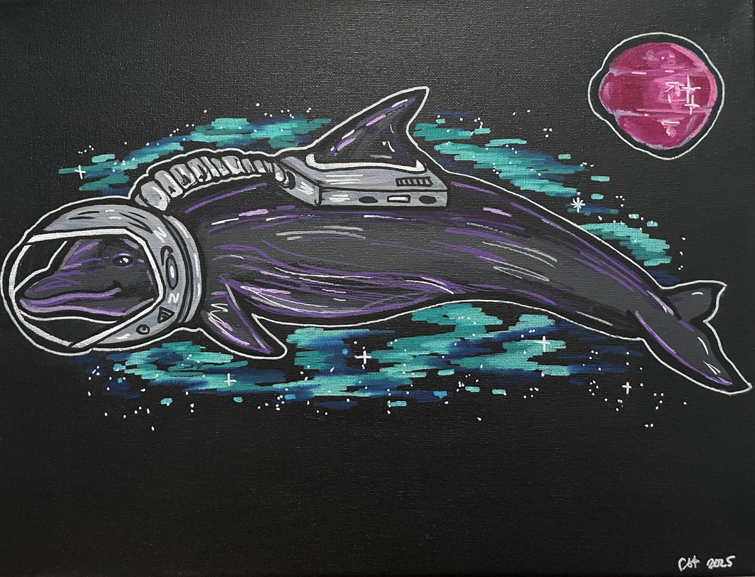 Space Dolphin