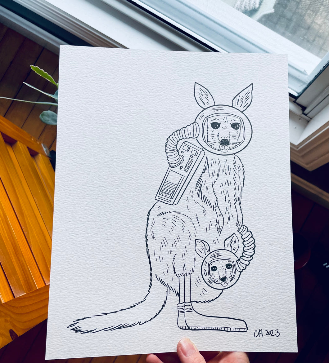 Kangaroo coloring page!