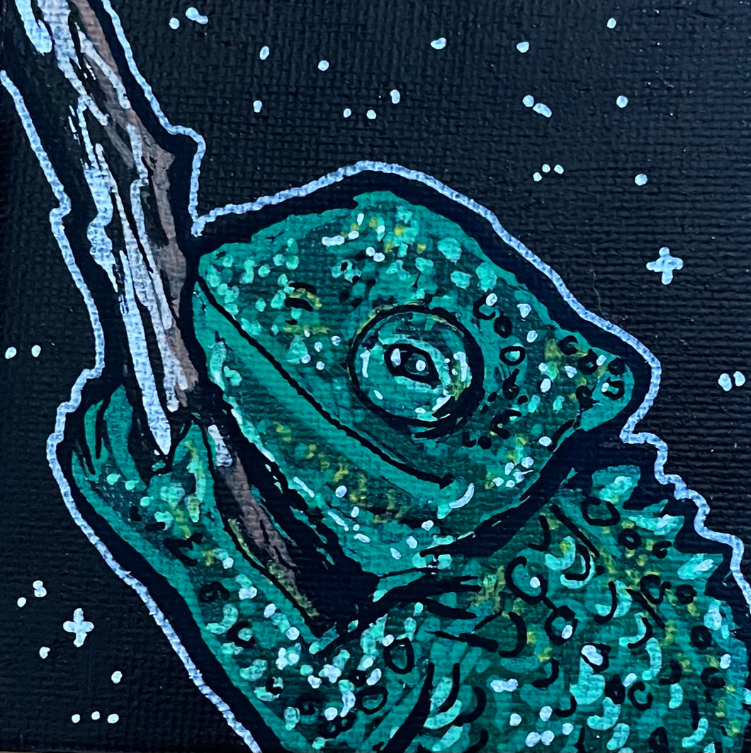 Mini Chameleon!