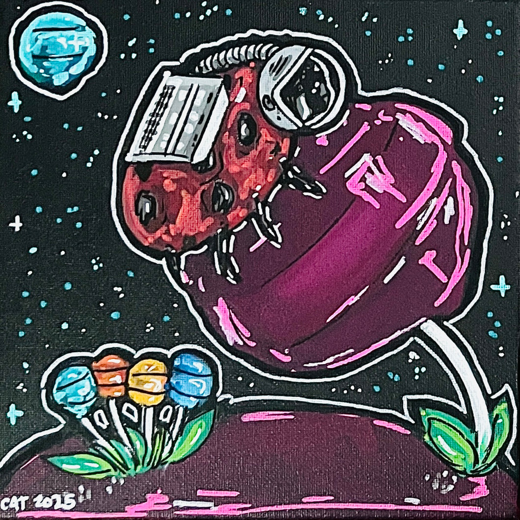 Space Lady Bug!