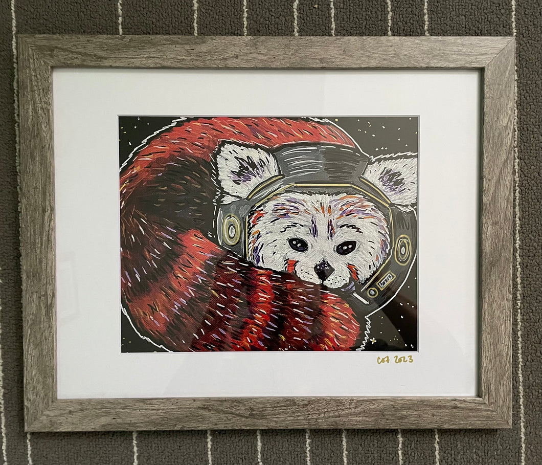 Limited Edition Framed Red Panda print