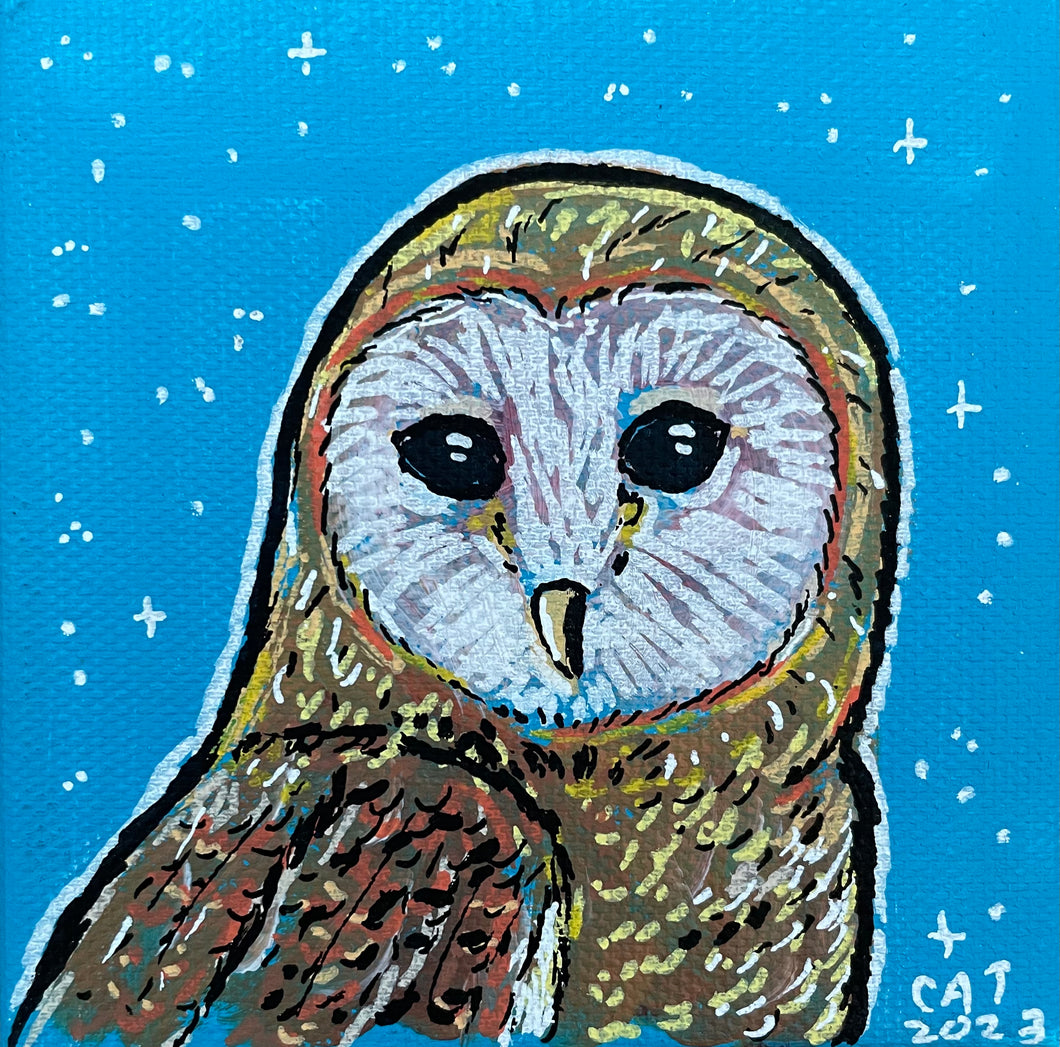 Barn owl (c)