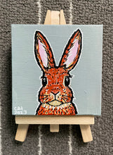 Load image into Gallery viewer, Mini bunny!
