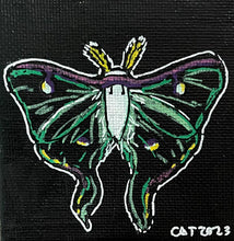 Load image into Gallery viewer, Mini Luna moth
