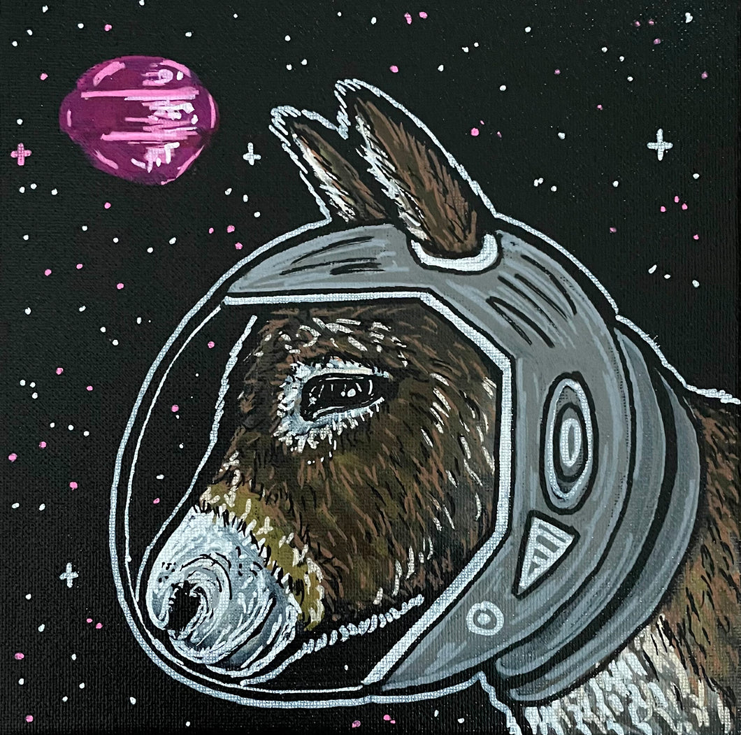 Space Donkey!