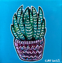 Load image into Gallery viewer, Plant #4 (c)
