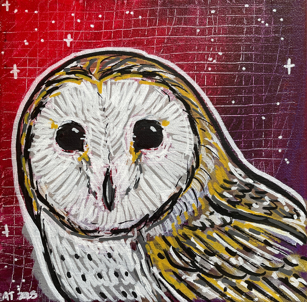 Barn owl!
