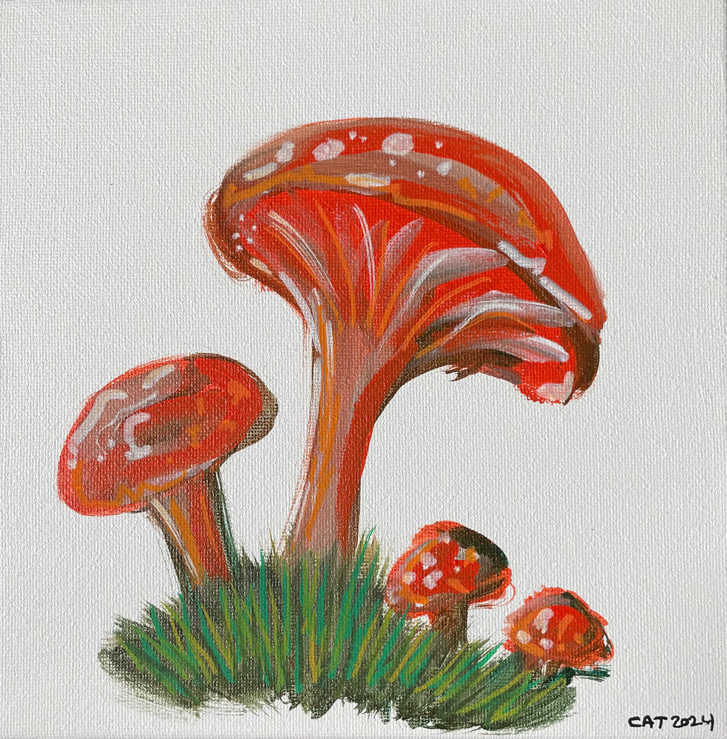Orange mushroom!