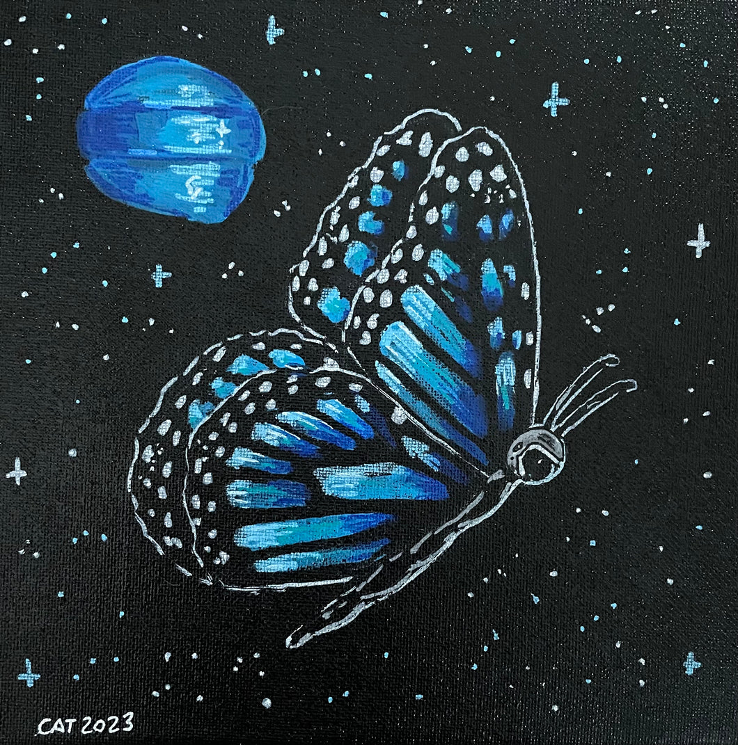 Space Butterfly!