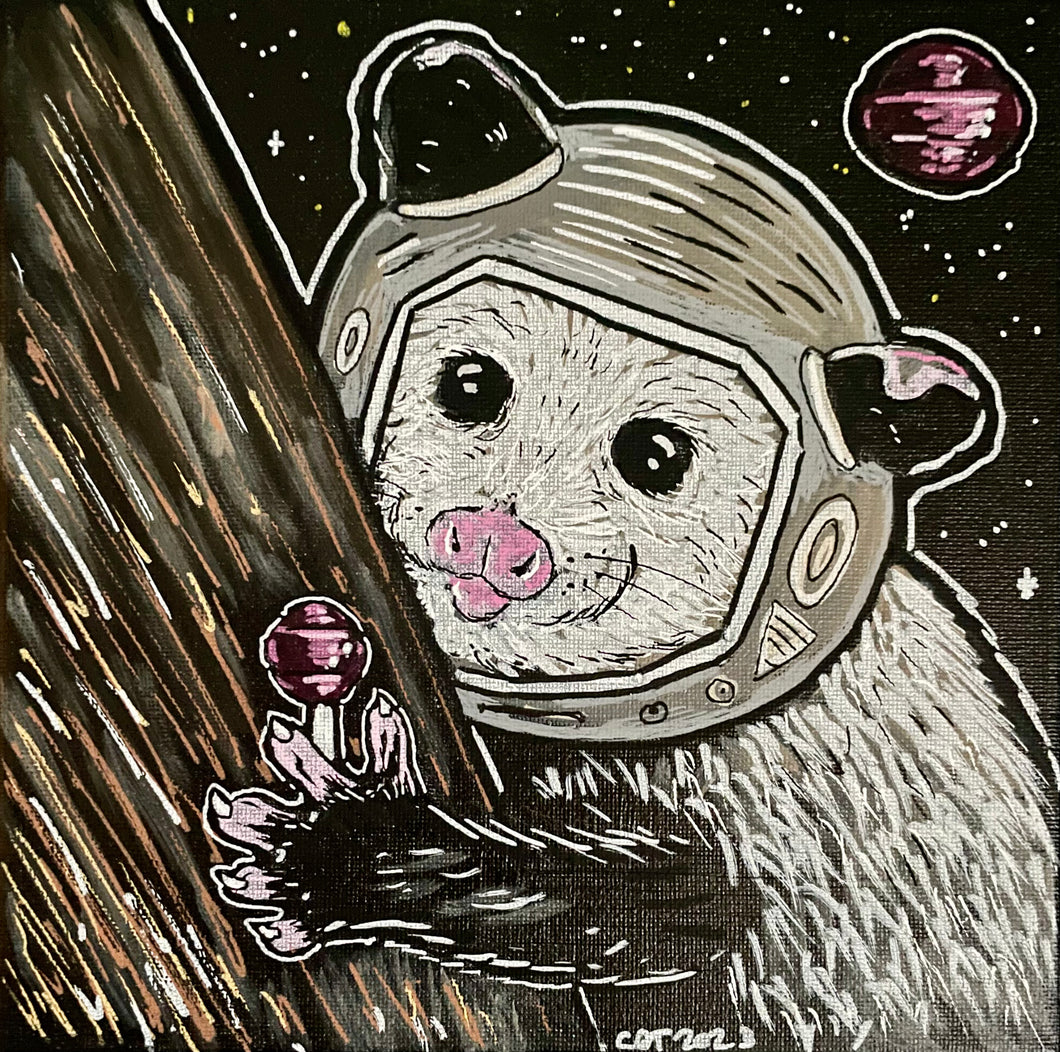 Space Possum!