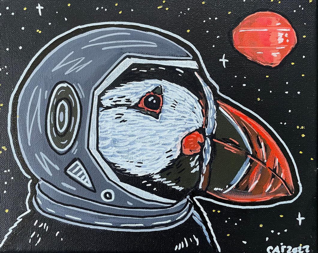 Space Puffin